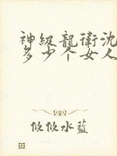 神级龙卫沈浪有多少个女人