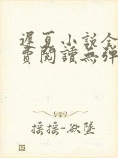 迟夏小说全文免费阅读无弹窗