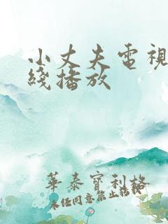 小丈夫电视剧在线播放