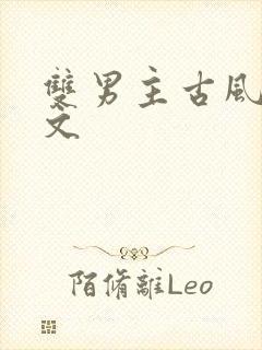 双男主古风高干文