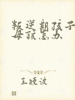 叛逆期孩子骂父母该怎办