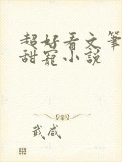 超好看文笔好的甜宠小说