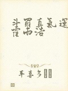 斗罗真气运之子霍雨浩