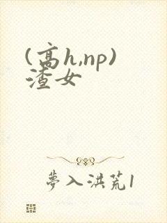 (高h,np)渣女