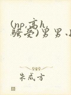 (np,高h,骚受)男男小说