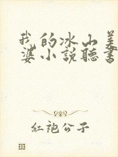 我的冰山美女老婆小说听书