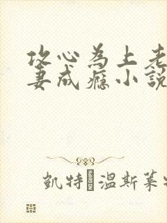 攻心为上老公诱妻成瘾小说txt完整无错版