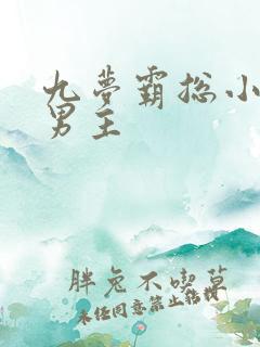 九梦霸总小说双男主