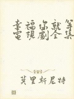 幸福你就等等我电视剧全集免费观看