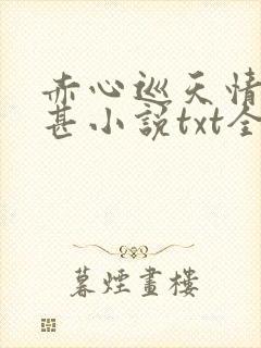 赤心巡天情何以甚小说txt全文免费下载