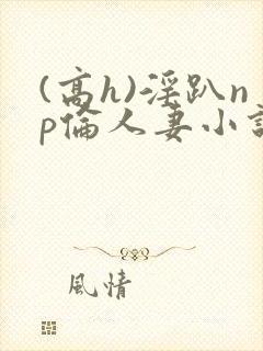 (高h)淫趴np伦人妻小说