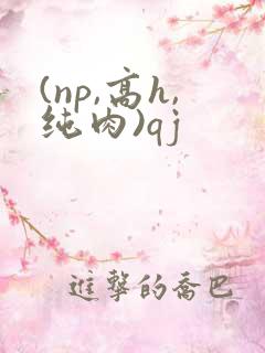 (np,高h,纯肉)qj
