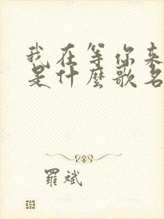 我在等你来回答是什么歌名