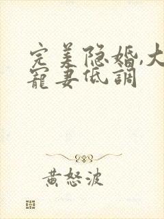 完美隐婚,大佬宠妻低调