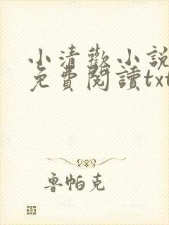 小清欢小说全文免费阅读txt