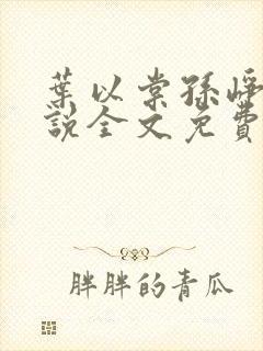 叶以棠孙峥宇小说全文免费阅读