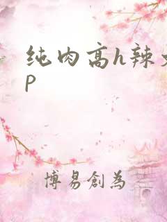 纯肉高h辣文np