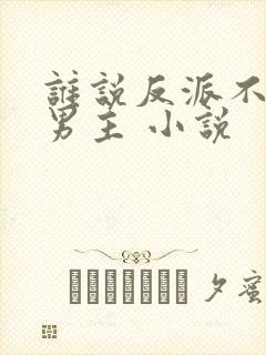 谁说反派不能当男主 小说