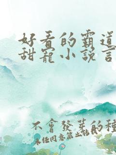 好看的霸道总裁甜宠小说言情