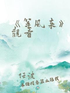 《等风来》免费观看