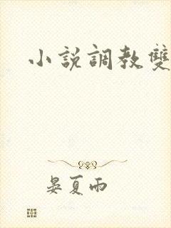 小说调教双男主