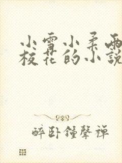 小雪小柔两个大校花的小说免费阅读