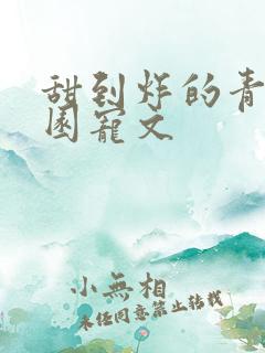 甜到炸的青春校园宠文