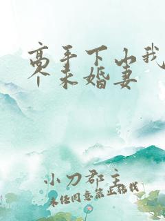 高手下山我有九个未婚妻