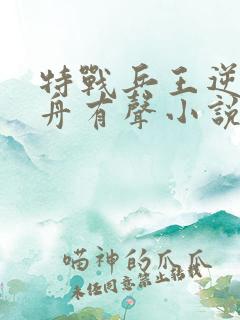 特战兵王逆水行舟有声小说