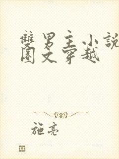 双男主小说娱乐圈文穿越