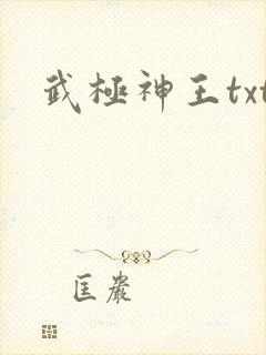 武极神王txt