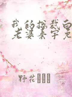 我的总裁白富美老婆秦宇免费阅读