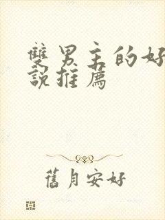 双男主的好看小说推荐