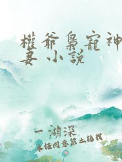 权爷枭宠神秘娇妻 小说