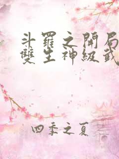 斗罗之开局签到双生神级武魂