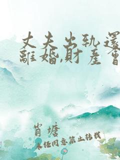 丈夫出轨还起诉离婚,财产会怎么分配