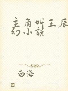 主角叫王辰的玄幻小说