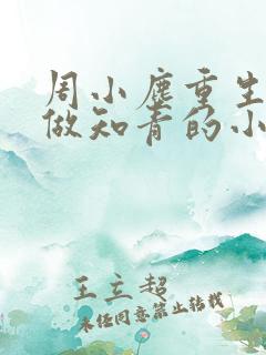 周小尘重生下乡做知青的小说