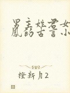 男主姓君女主姓凤的古言小说