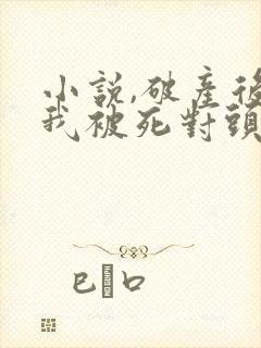 小说,破产后,我被死对头宠上天