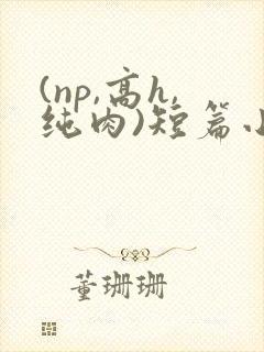 (np,高h,纯肉)短篇小说