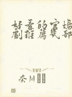 好看的官场电视剧推荐几部 前十名