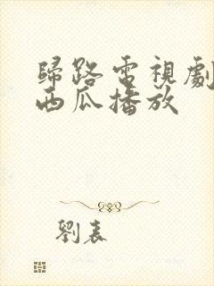 归路电视剧免费西瓜播放