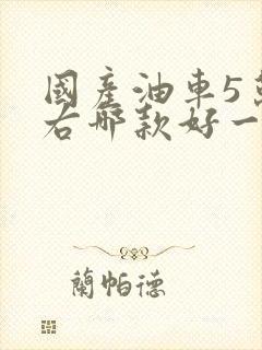 国产油车5万左右哪款好一点