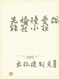 先婚后爱总裁太能宠小说