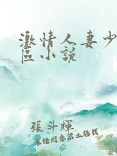 激情人妻少妇一区小说