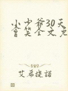 小少爷30天后会笑全文免费阅读