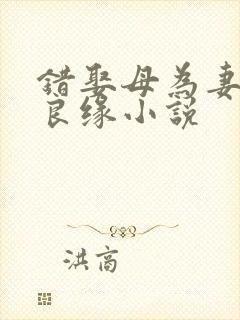 错娶母为妻喜结良缘小说