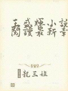 王盛辉小说免费阅读最新章节