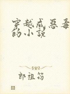 穿越成恶毒女配的小说